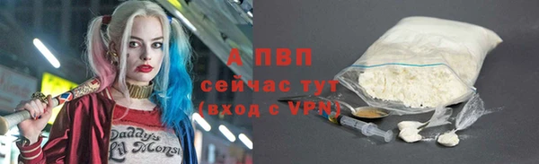 дживик Беломорск